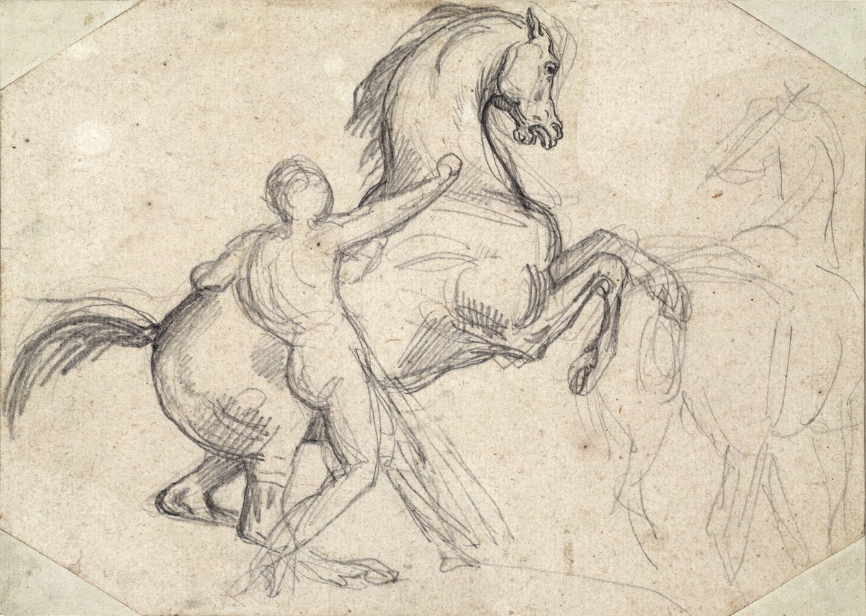 Criação de garanhão realizada por um homem nu de Theodore Gericault