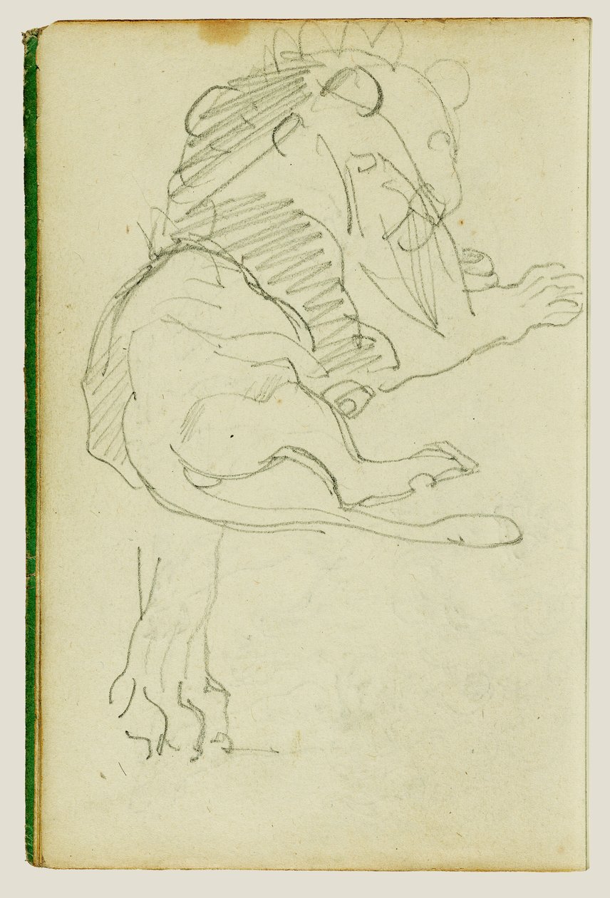 Leão sentado de Theodore Gericault