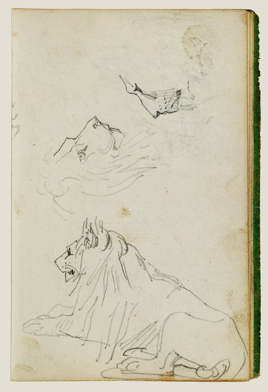 Leão sentado, dois esboços de cabeças de leão de Theodore Gericault