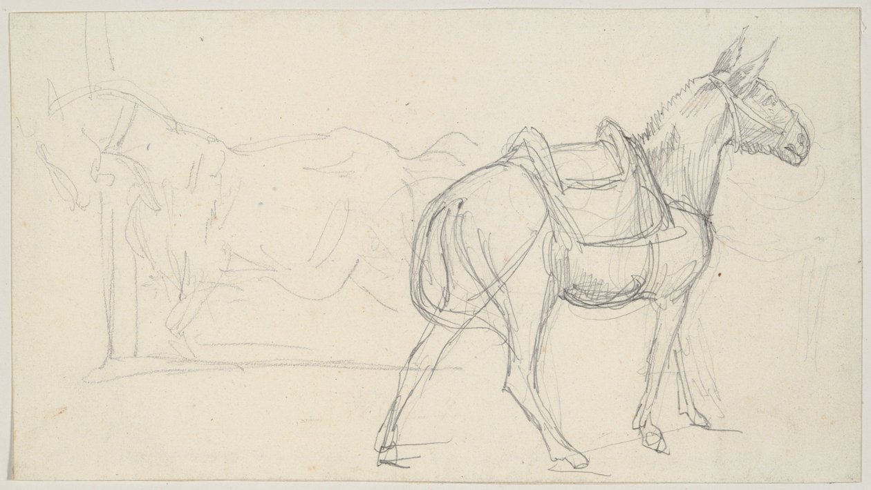 Esboço de um cavalo de Theodore Gericault