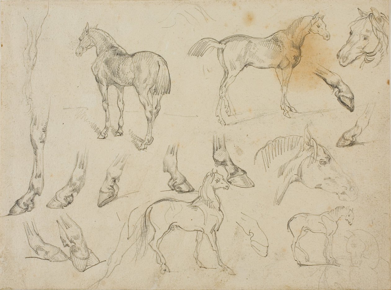 Esboços de um cavalo de Theodore Gericault