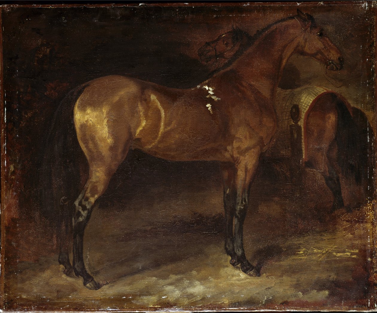 Cavalo Espanhol - óleo sobre tela de Theodore Gericault