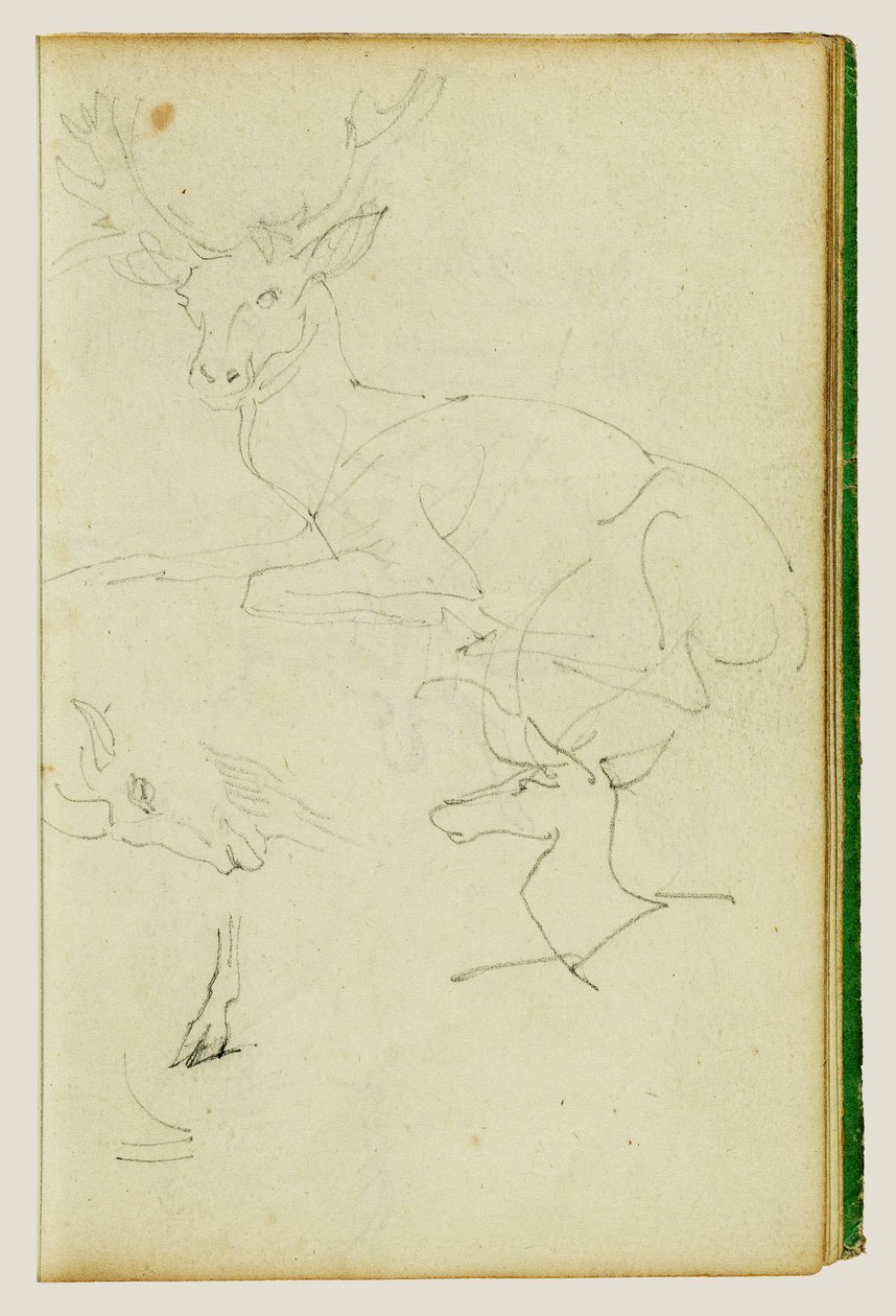 Estudos de um veado sentado, de um cervo-jovem e de uma cabeça de cabra de Theodore Gericault