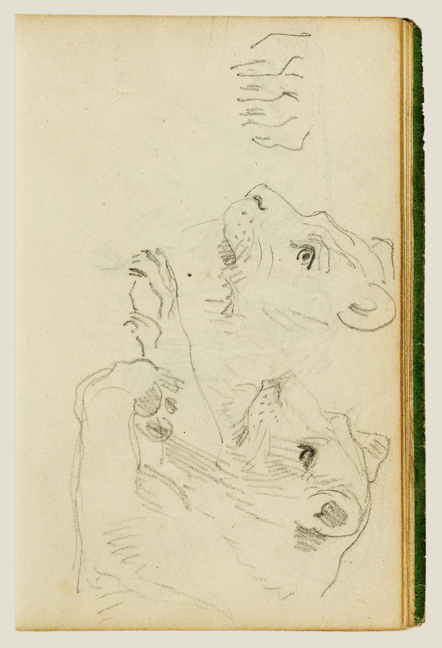Estudos sobre a cabeça e as patas dianteiras de uma leoa de Theodore Gericault