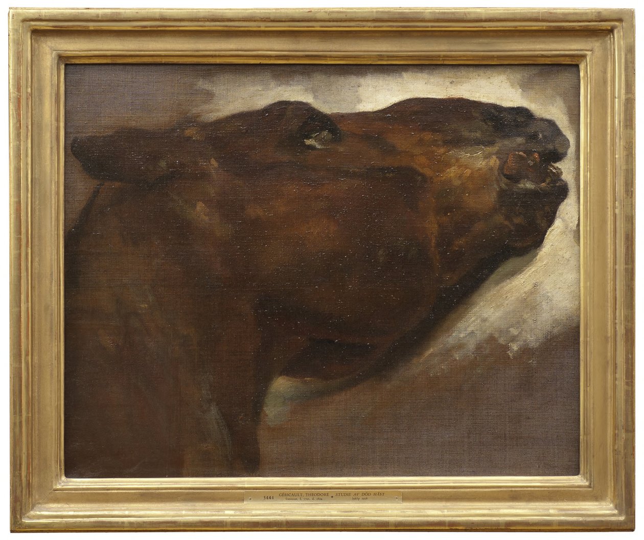 Estudo de um Cavalo Morto de Theodore Gericault