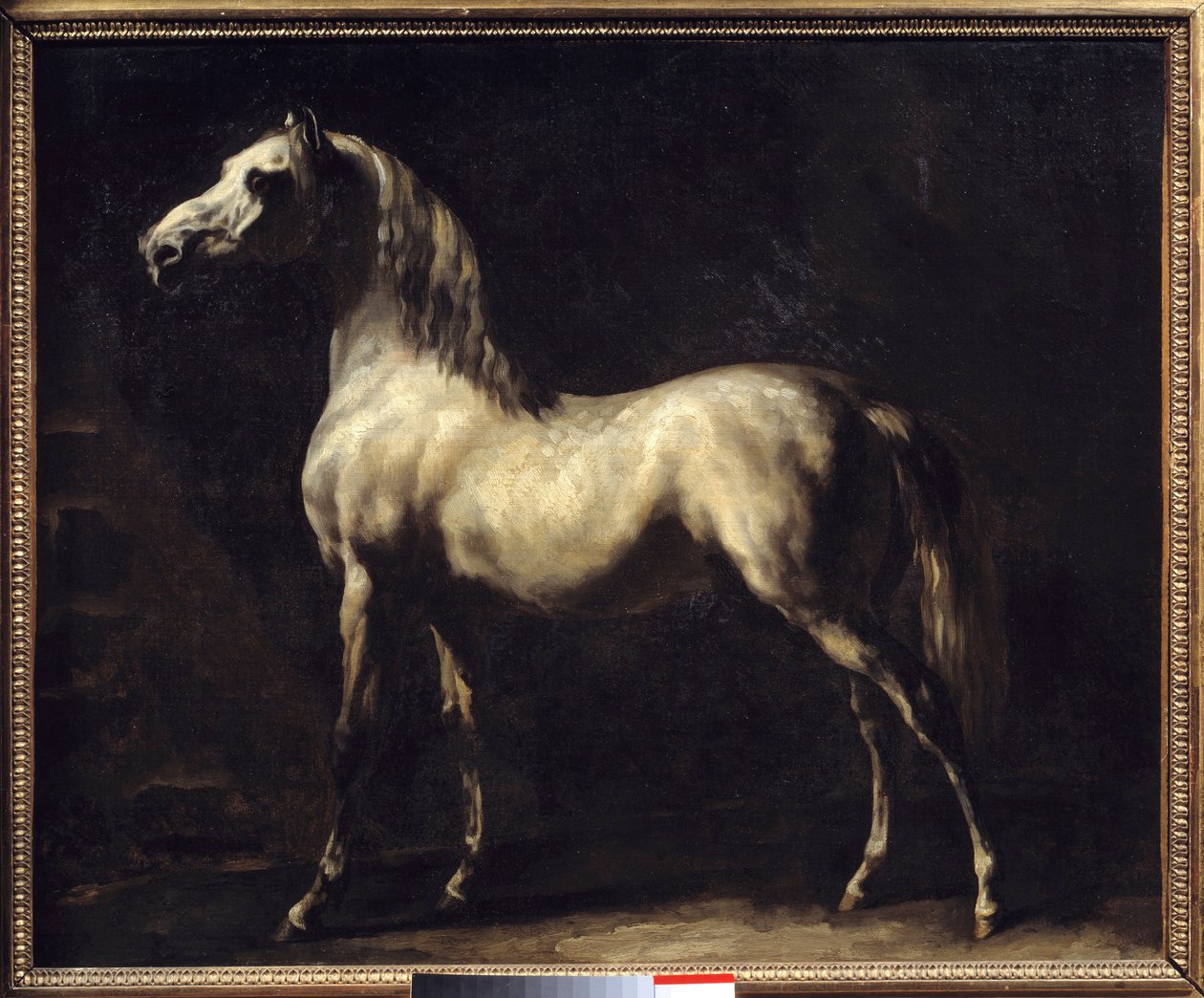 Estudo de uma pintura de cavalo por Theodore Gericault de Theodore Gericault