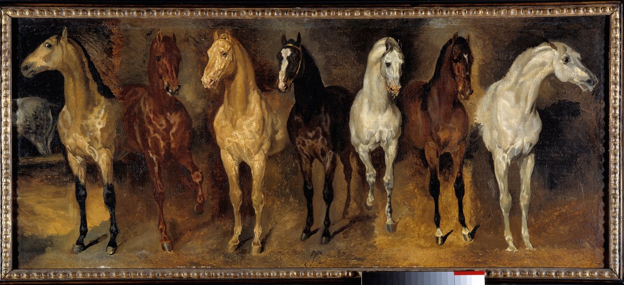 Os peitos Sete cavalos da frente. Pintura de Theodore Gericault (1791-1824) Sol do século XIX. 0,39x0,94 m Colecção privada - Sete peitos de cavalo (vista de frente). Pintura de Theodore Gericault (1791-1824) de Theodore Gericault