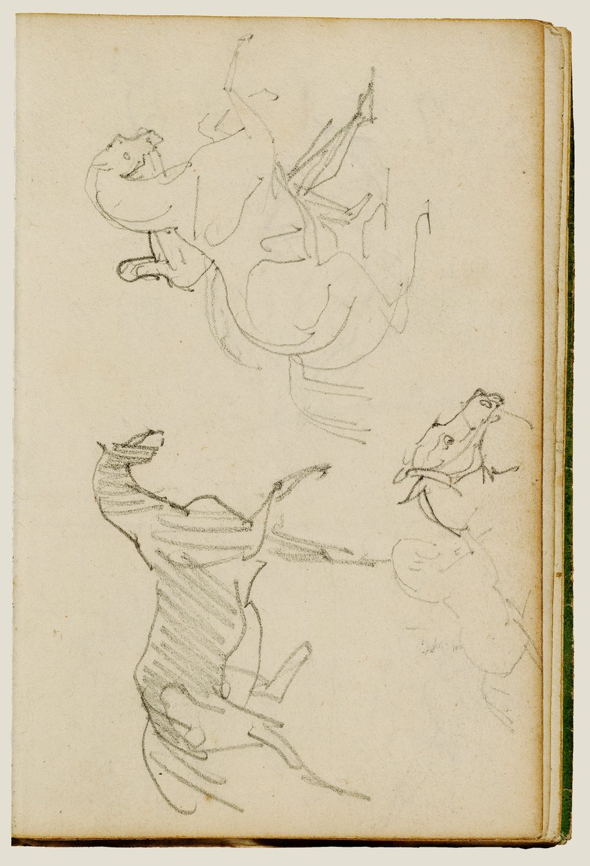 Três estudos com cavalos de Theodore Gericault