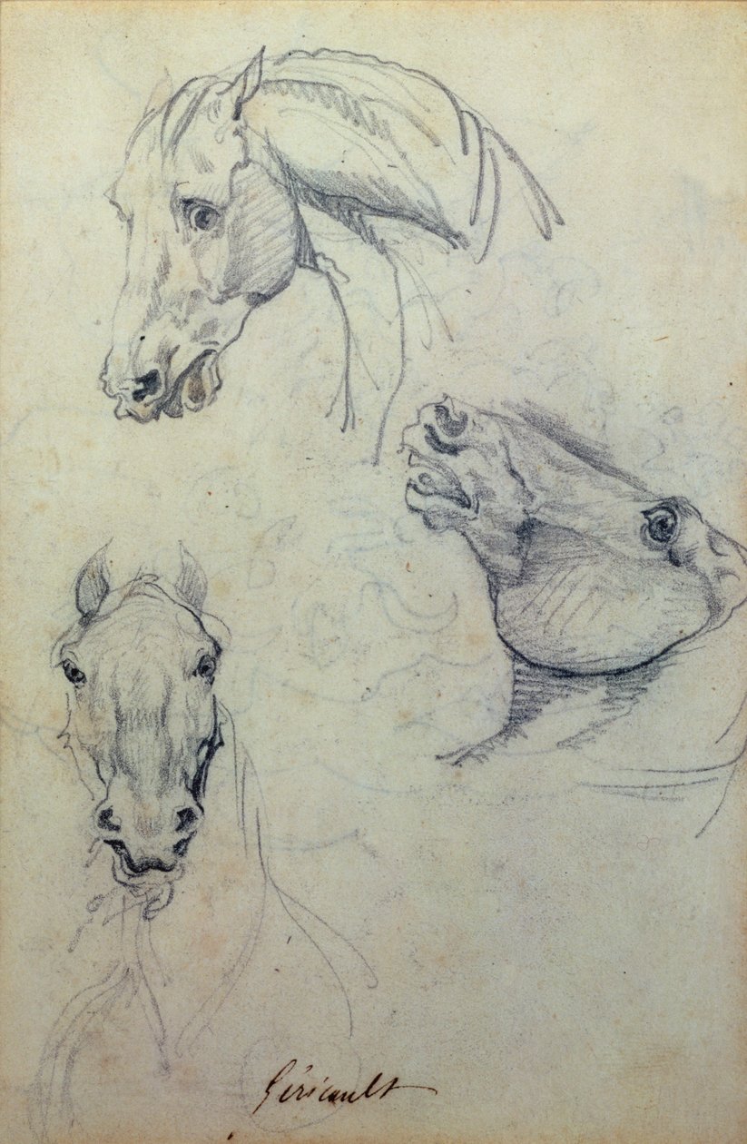 Três cabeças de cavalo (lápis) de Theodore Gericault
