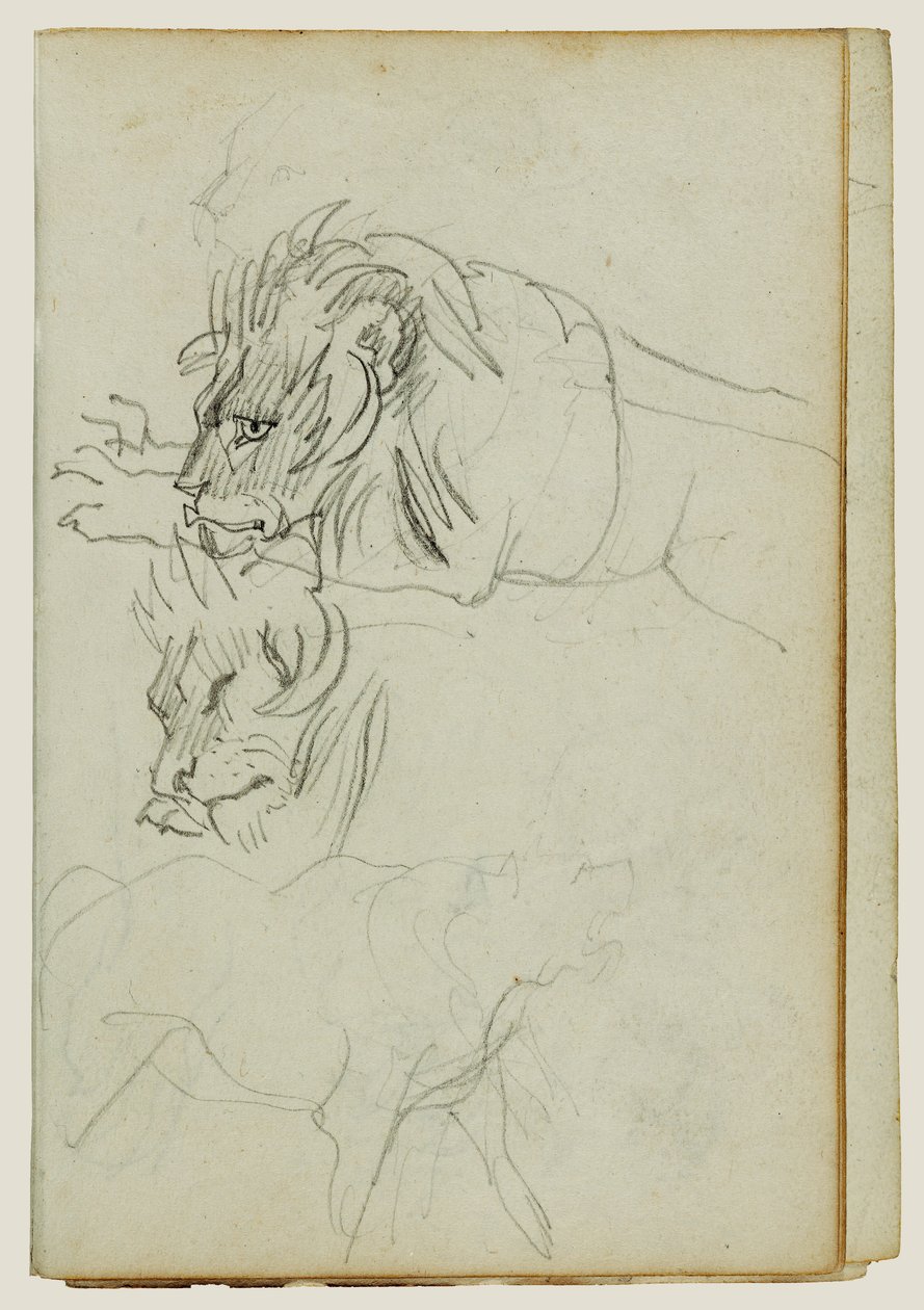 Três estudos de leões de Theodore Gericault