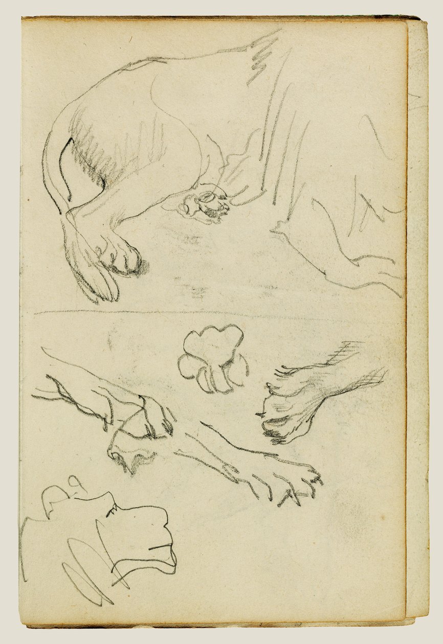 Vários estudos de perna, patas e cabeça de leão de Theodore Gericault