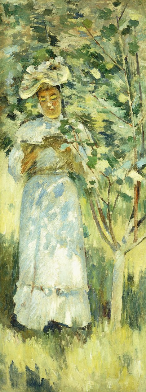 Luz solar e sombras, 1871 de Theodore Robinson