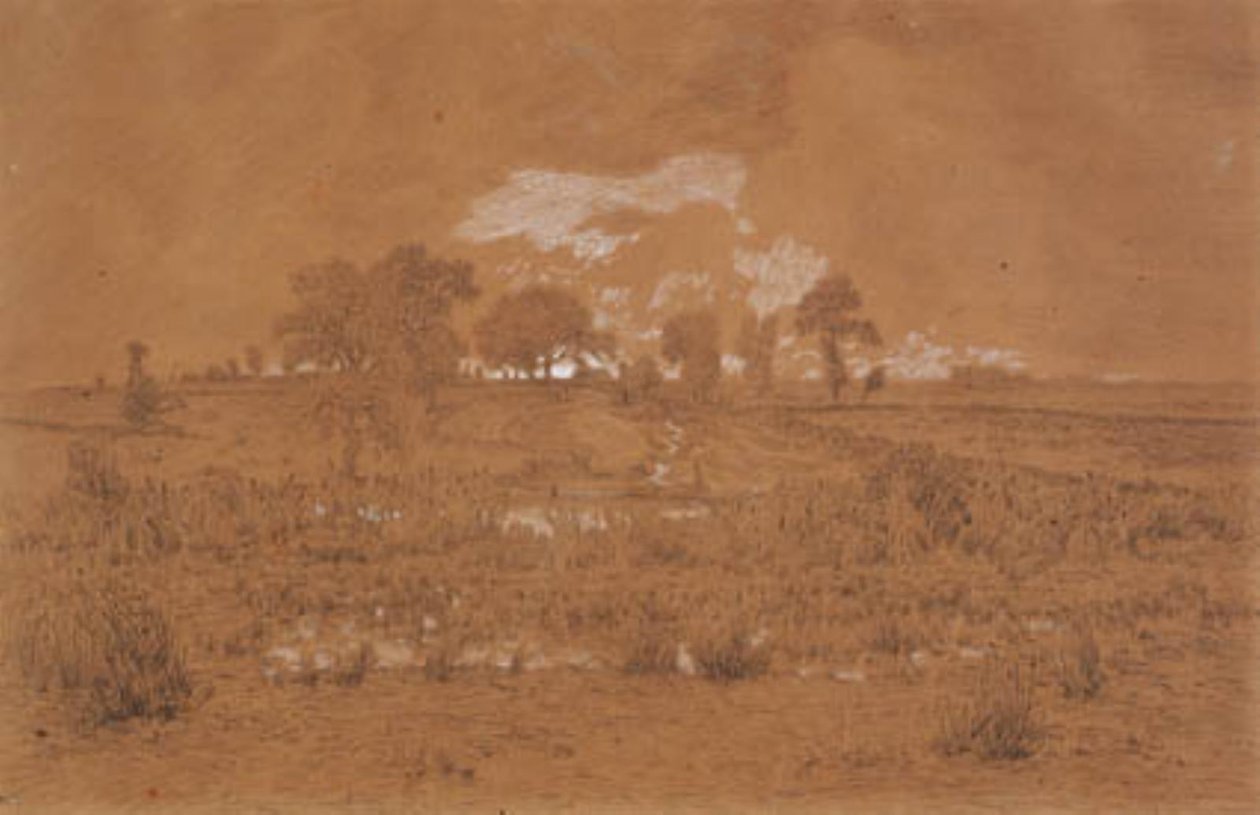 Paisagem da noite com um pântano de Theodore Rousseau