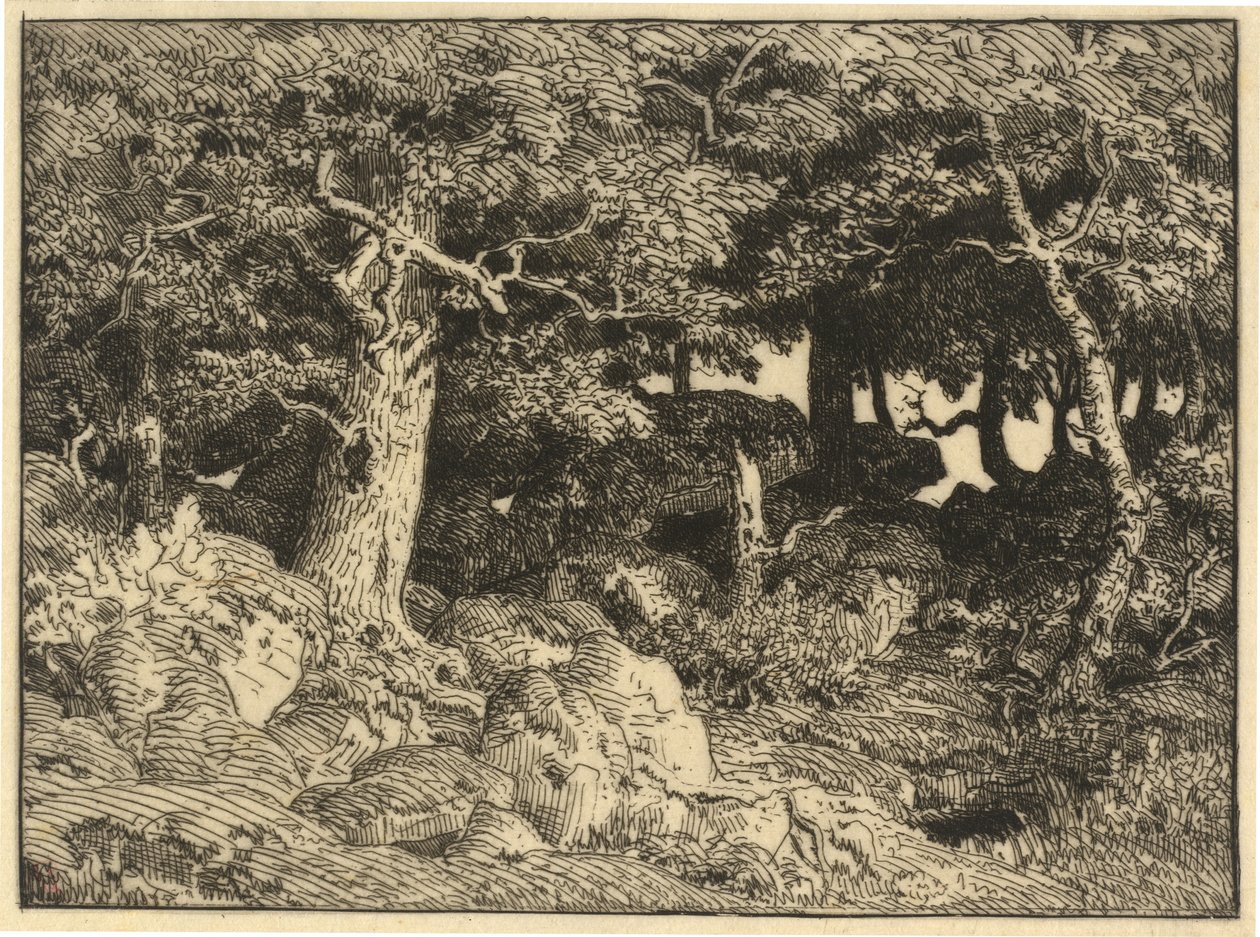Chenes de Roche (Rock Oaks) de Theodore Rousseau