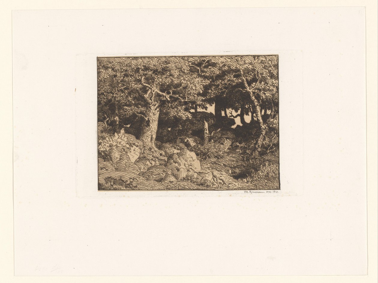 Carvalhos nas rochas Chenes de Roche (título original) de Theodore Rousseau