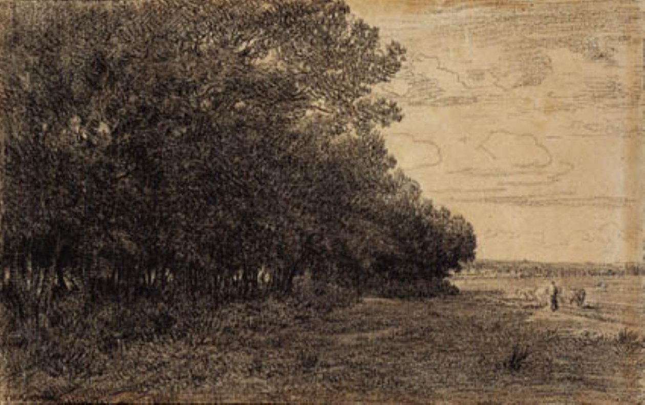 Um pequeno grupo de árvores altas na floresta Macherin de Theodore Rousseau