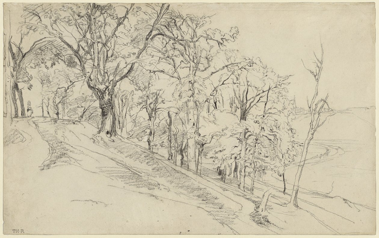 Floresta em Boisrémond (frente); Casa de campo numa floresta (verso) de Theodore Rousseau