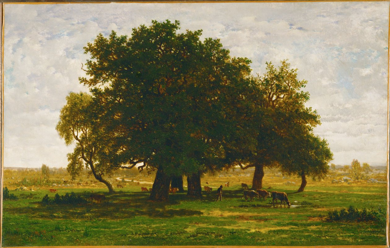 Grupo de carvalhos, Apremont Grupo de carvalhos, Apremont, França ... de Theodore Rousseau