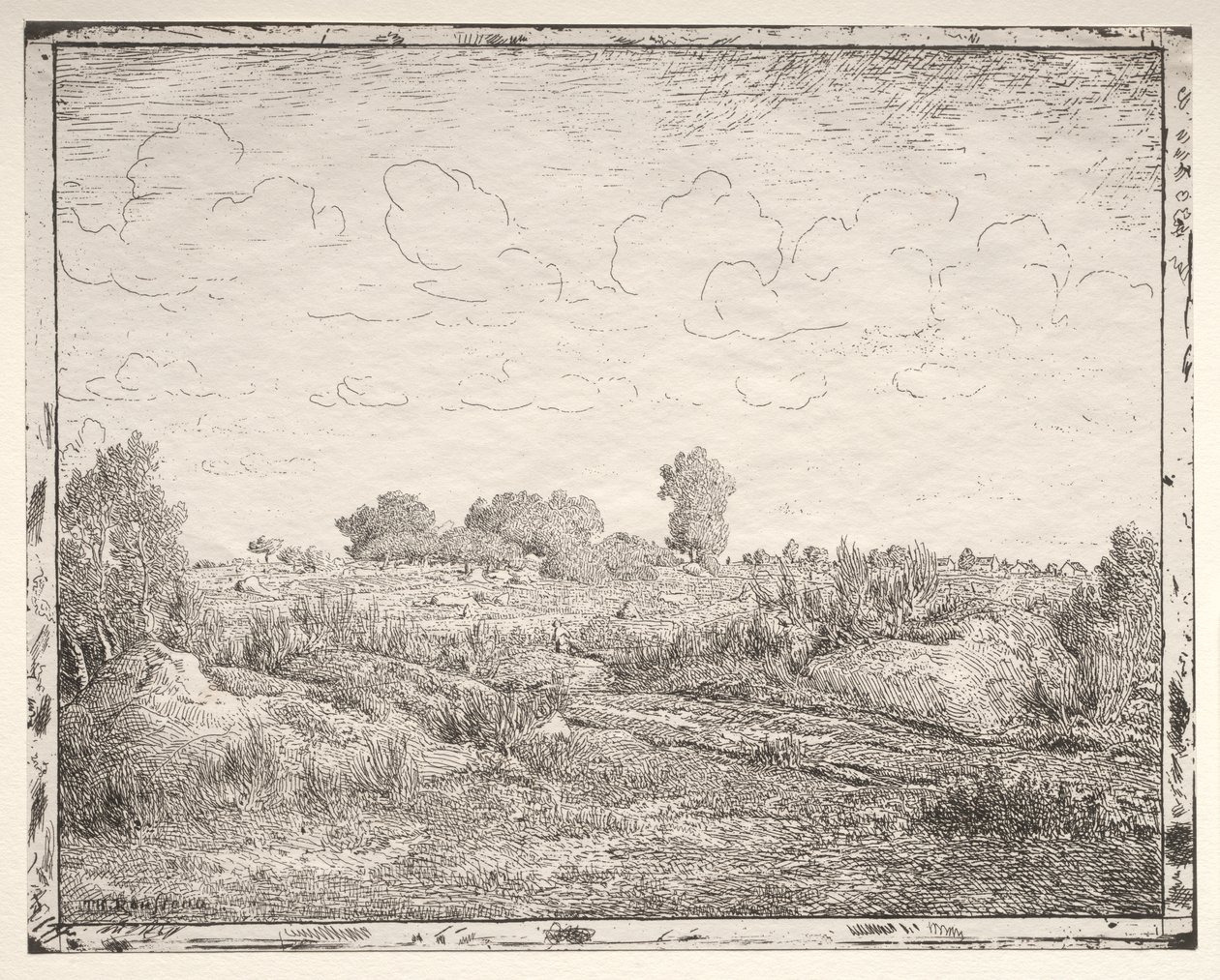 A Planície das Plantas em Biau de Theodore Rousseau
