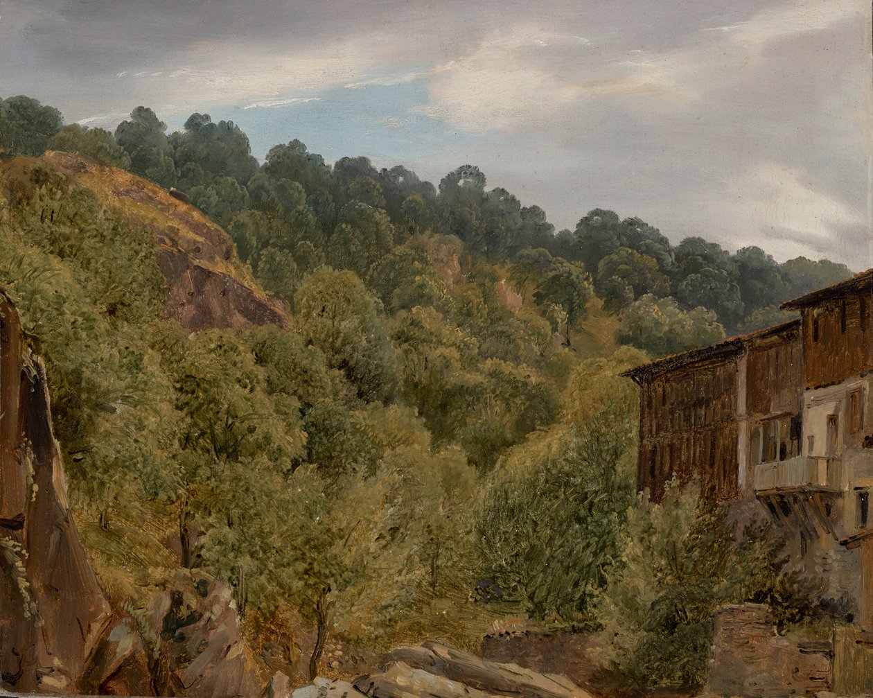 Campo de Auvergne de Theodore Rousseau