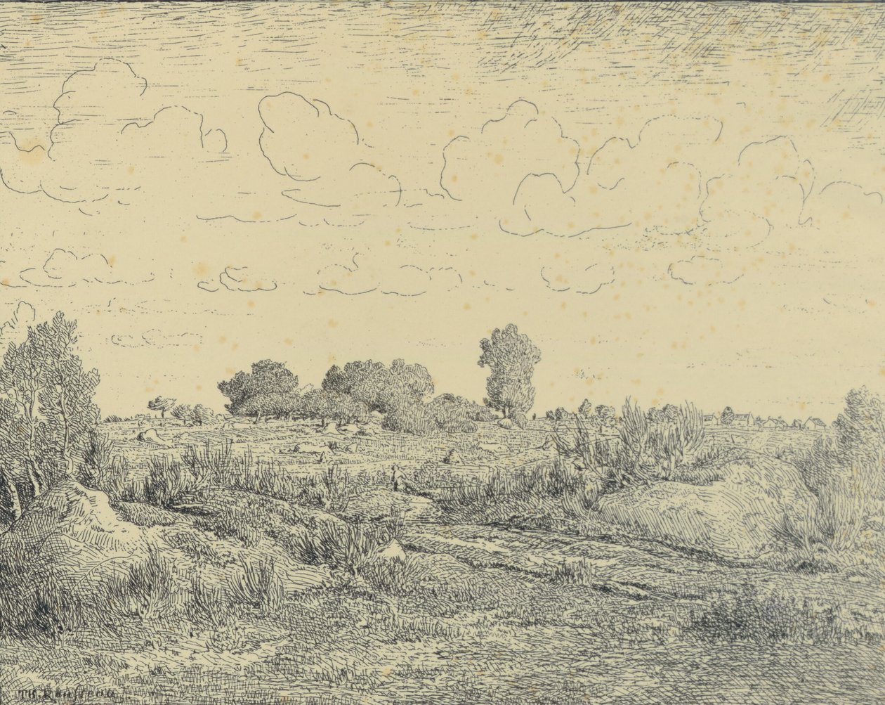 A planície de La Plante em Biau de Theodore Rousseau
