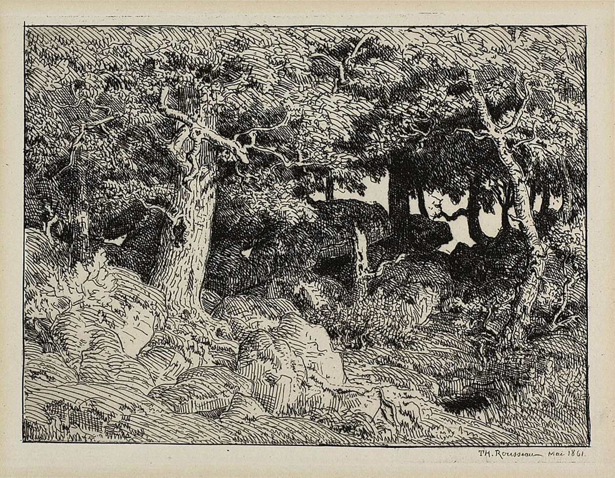Carvalho das rochas de Theodore Rousseau