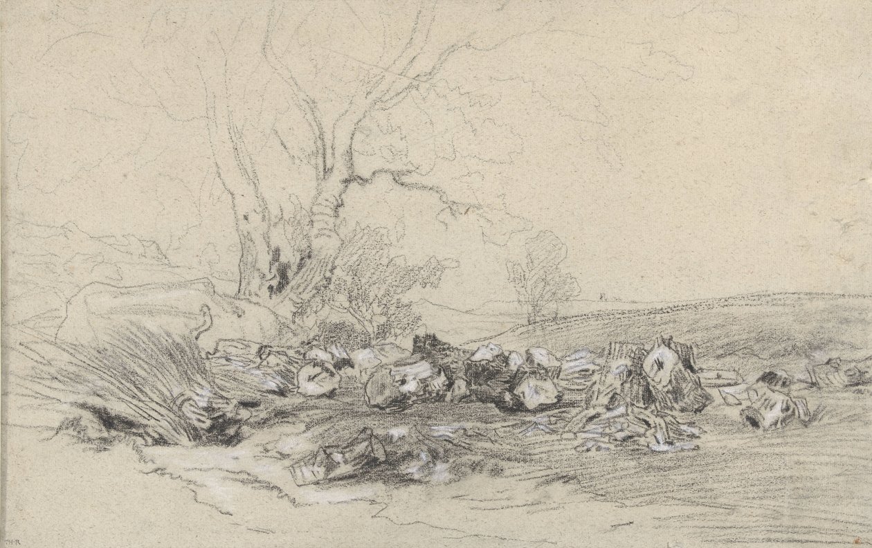 árvores derrubadas de Theodore Rousseau