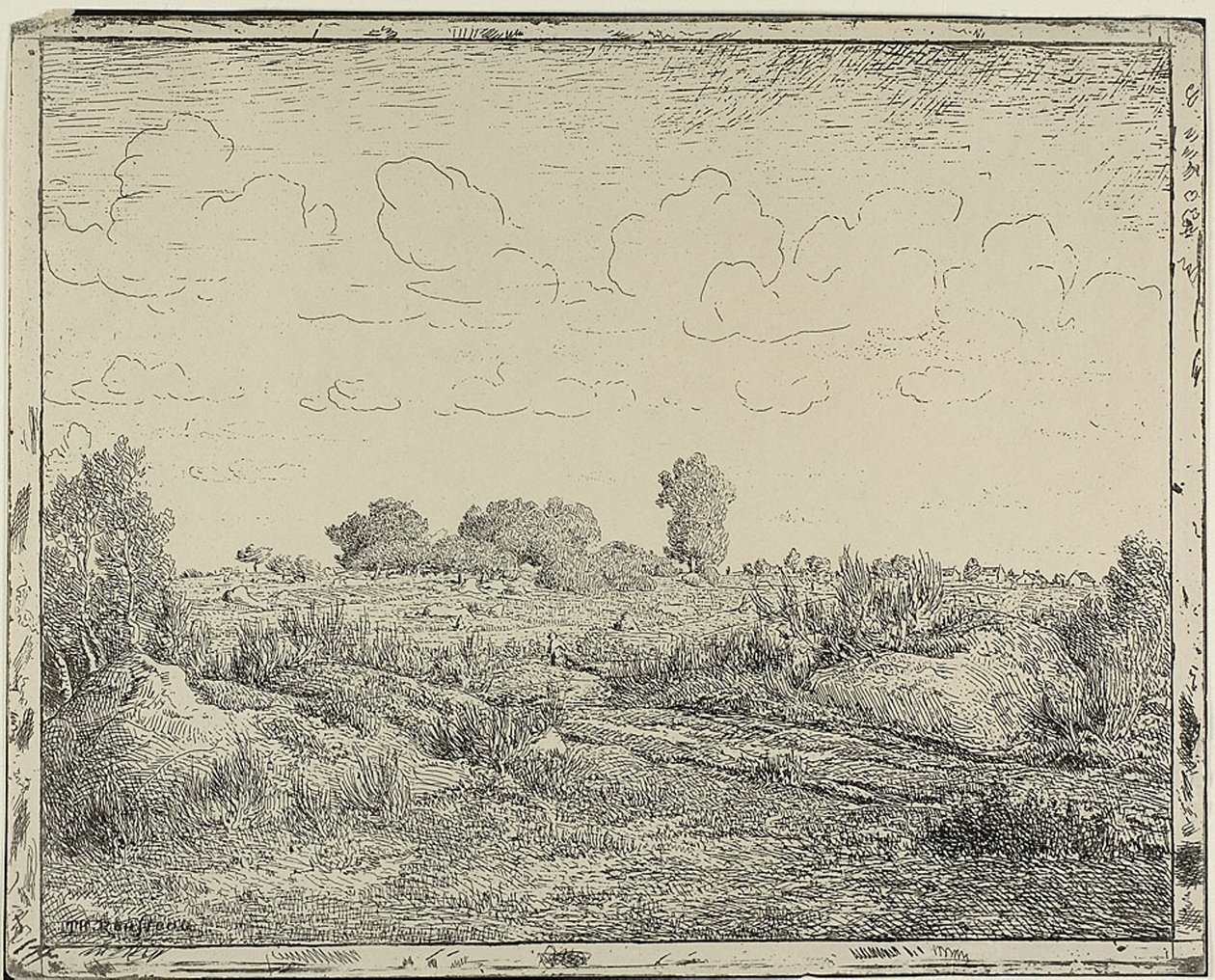 Planície em Plante em Biau de Theodore Rousseau