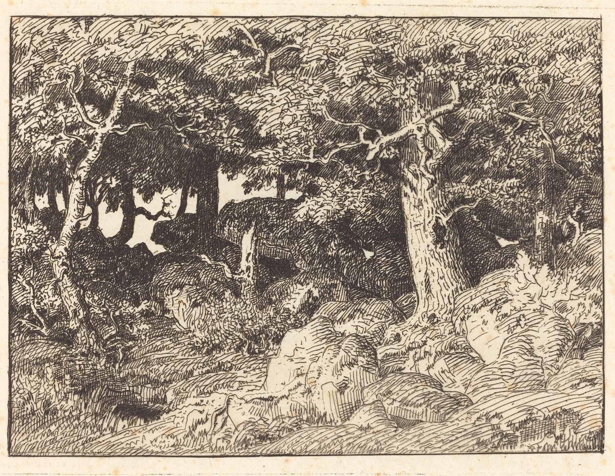 Carvalhos rochosos de Theodore Rousseau