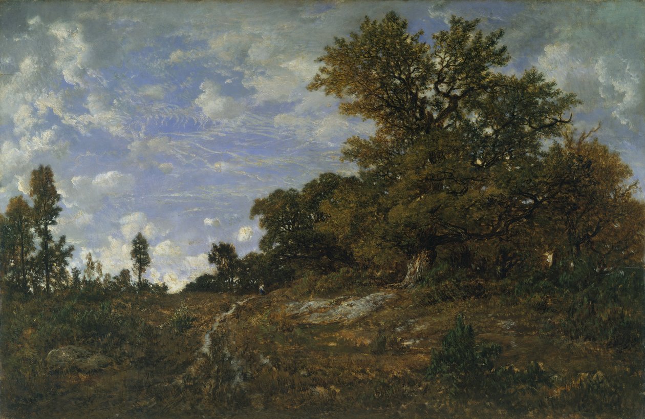 The Edge of the Woods em Monts-Girard, Fontainebleau Forest de Pierre Etienne Theodore Rousseau