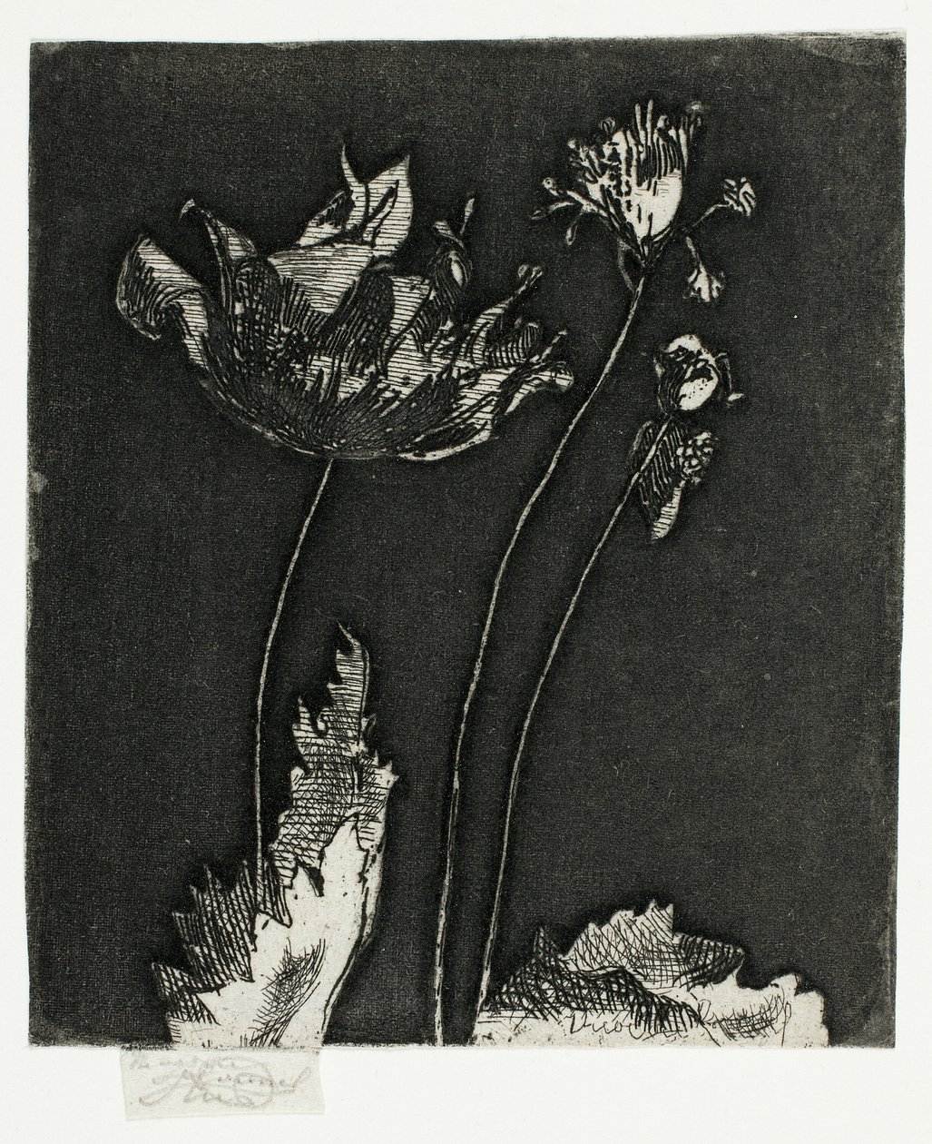Últimas papoulas de Theodore Roussel