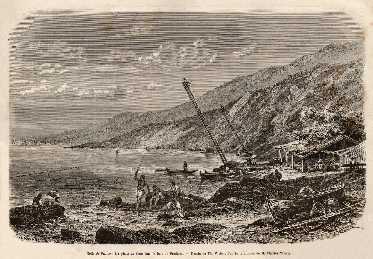 A pesca do atum na Baía de Proelucca (Golfo de Fiume ou Rijeka, Ístria), a vigia dos bancos de peixe empoleiram-se em escamas altas e avisam os pescadores da sua equipa ou lançam as suas redes ao longo da costa. Gravura depois do desenho de T.Weber, para i de Theodore Weber