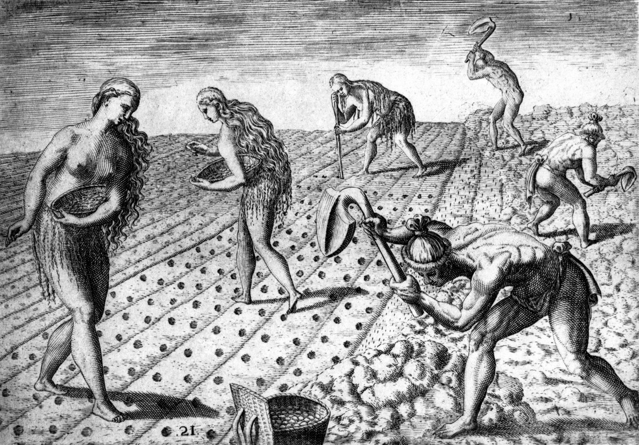 Agricultura entre os nativos da América do Sul - in "Admirante Narratio Americae", de Théodore de Bry de Theodore de Bry