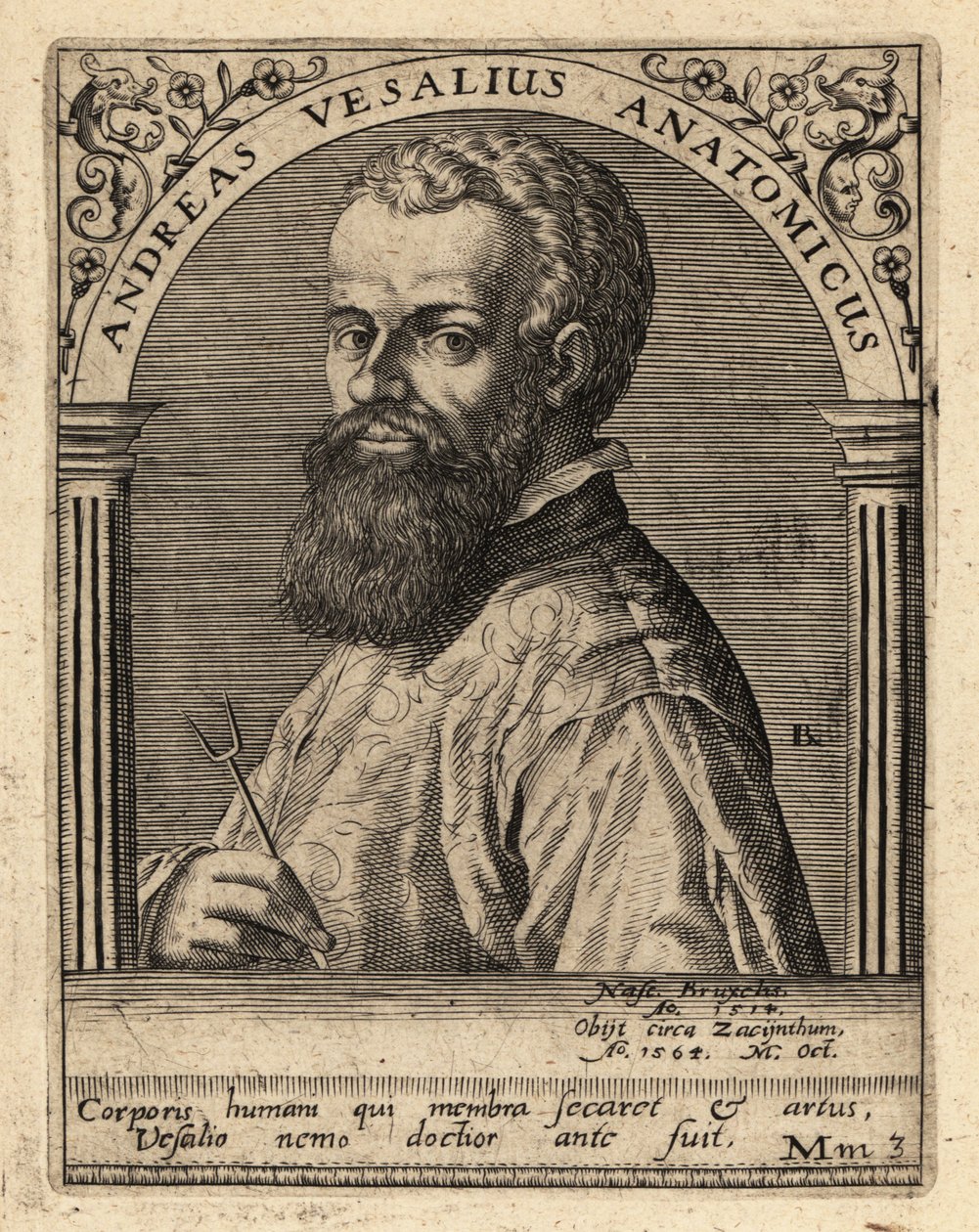 Andreas Vesalius, médico flamengo, anatomista de Theodore de Bry
