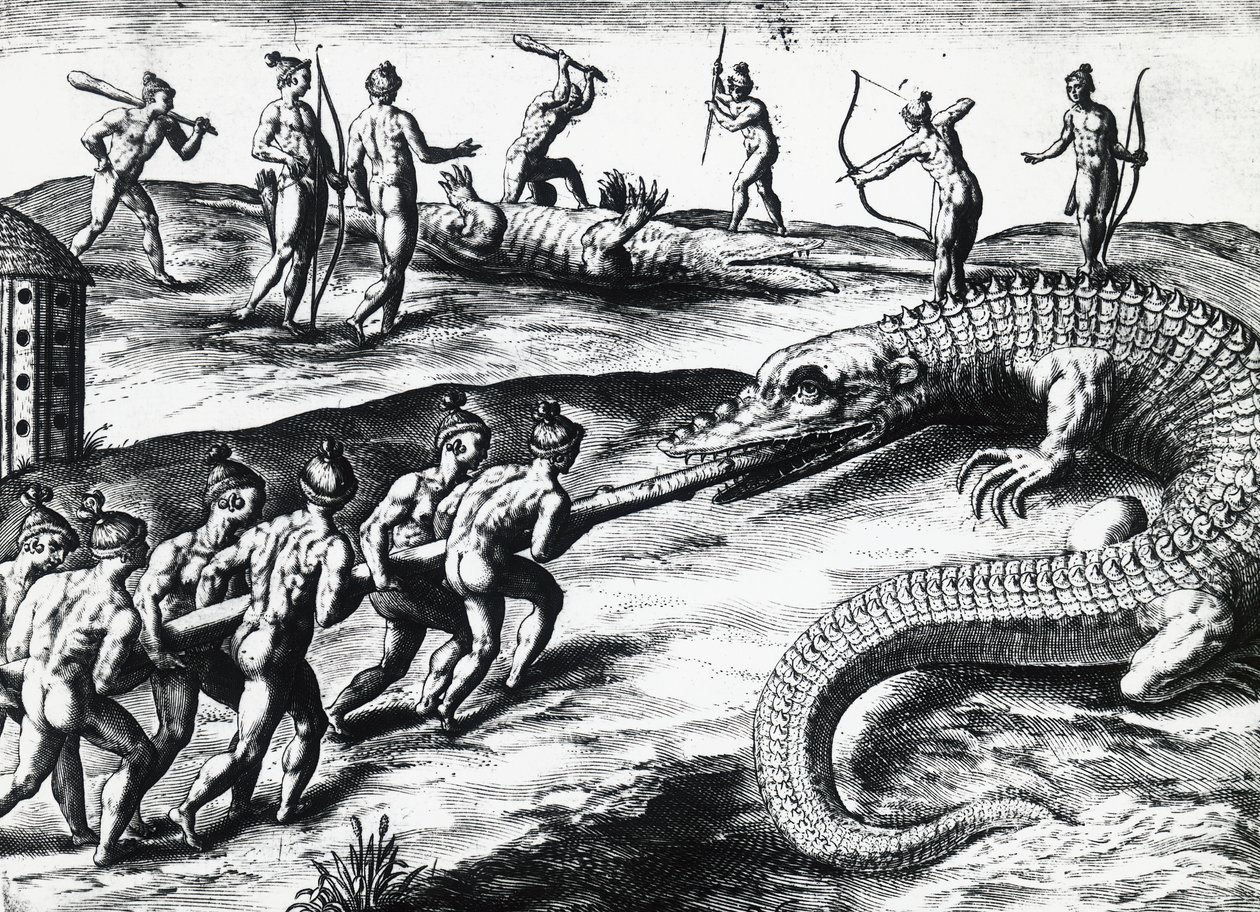 Caça ao crocodilo na Flórida, da pintura de Jacques le Moyne de Morgues (ca. 1533- antes de 1588), de Theodor de Bry (1528-1598). gravura de Theodore de Bry