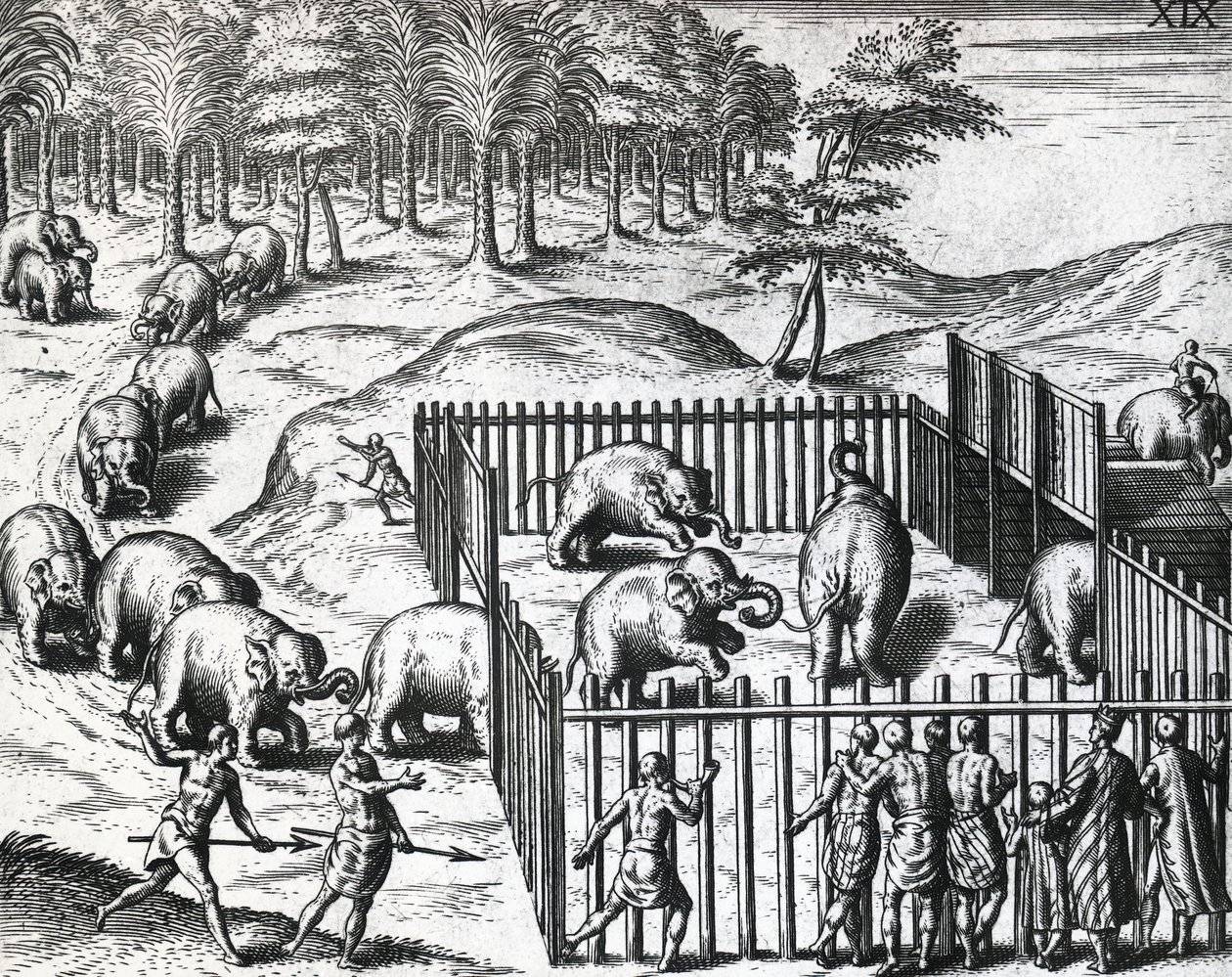 Caça ao elefante no reino de Pegu, hoje Myanmar, por Theodor de Bry (1528-1598), gravura de Theodore de Bry