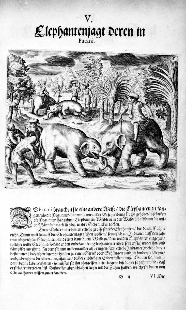 Combate de elefantes, 1606 de Theodore de Bry