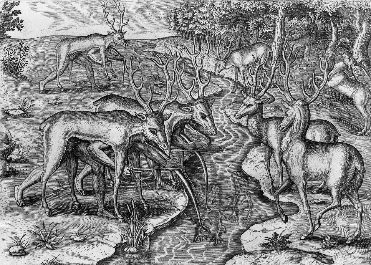 Índios da Flórida caçando, disfarçados de veados, Estados Unidos da América, gravados por Theodor de Bry (1528-1598) de Indorum Floridam provinciam inhabitantium eicones, por Jacques Le Moyne de Morgues (1533-1588), Frankfurt am Main de Theodore de Bry