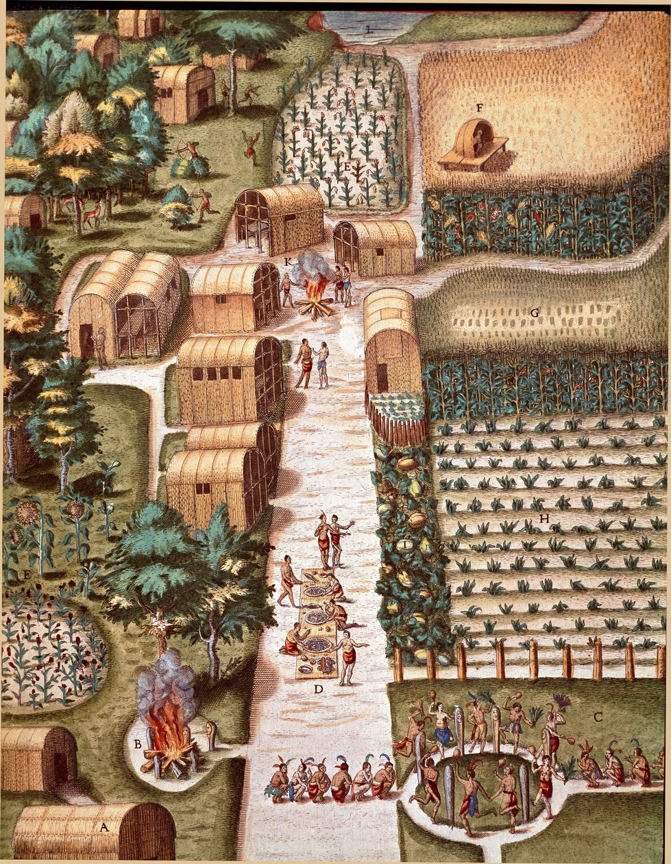 História da América: "The Garden of the City of Secota in Virginia" Gravura de "Admirante Narratio Americae" de Theodore de Bry (1528-1598) de Theodore de Bry