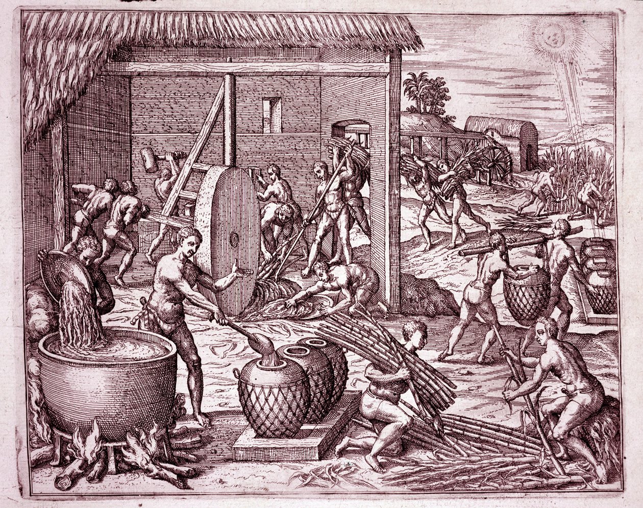 História da América: colheita de cana de açúcar e produção de açúcar por escravos indígenas que trabalham para os conquistadores espanhóis (Engraving de Theodore de Bry
