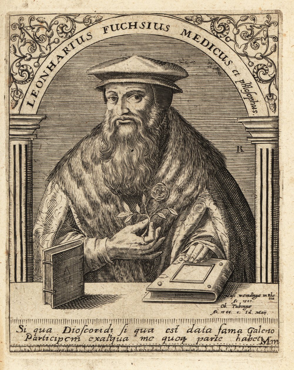 Leonhart Fuchs, médico e botânico alemão 1501-1566 . de Theodore de Bry