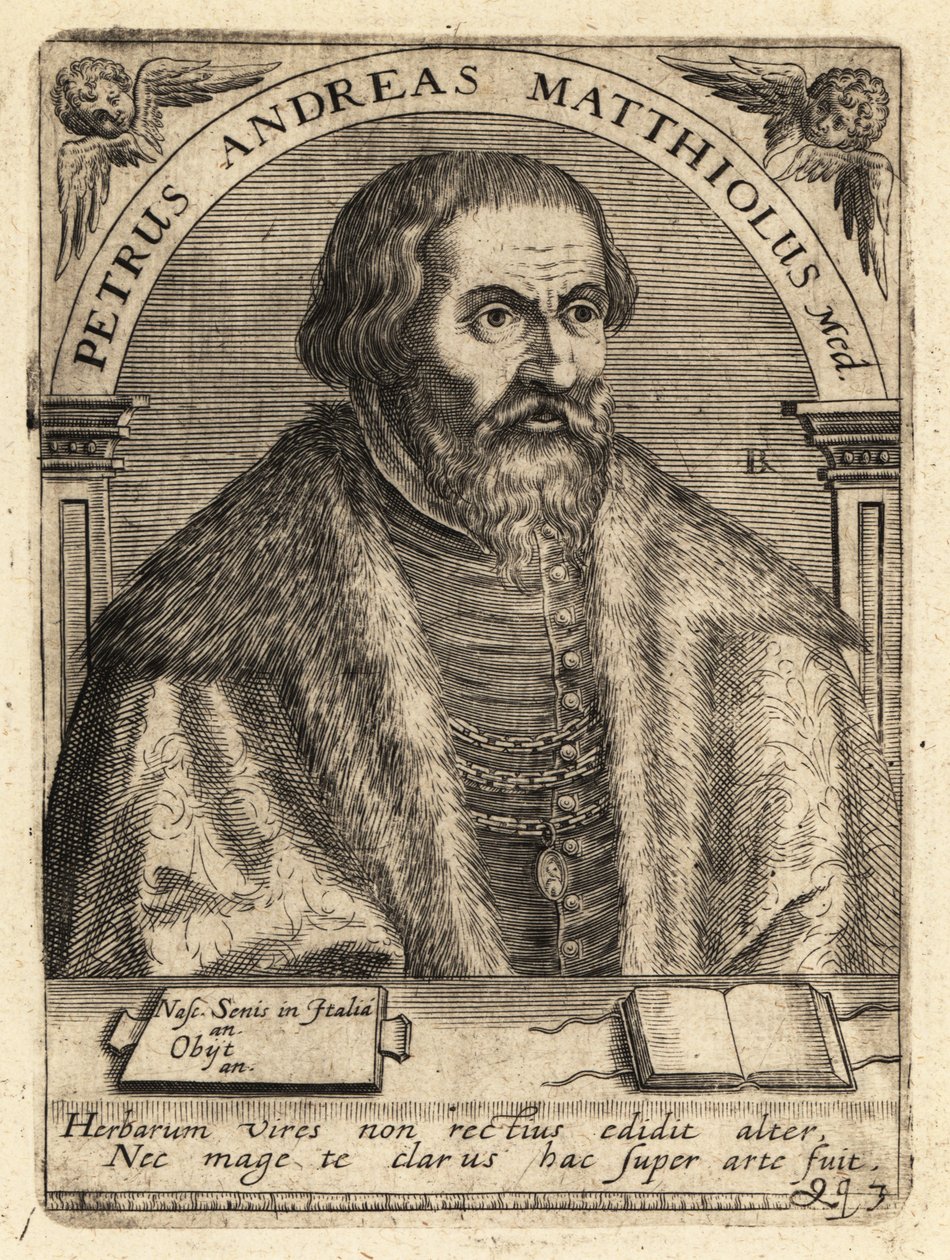 Pietro Andrea Gregorio Mattioli, médico italiano de Theodore de Bry