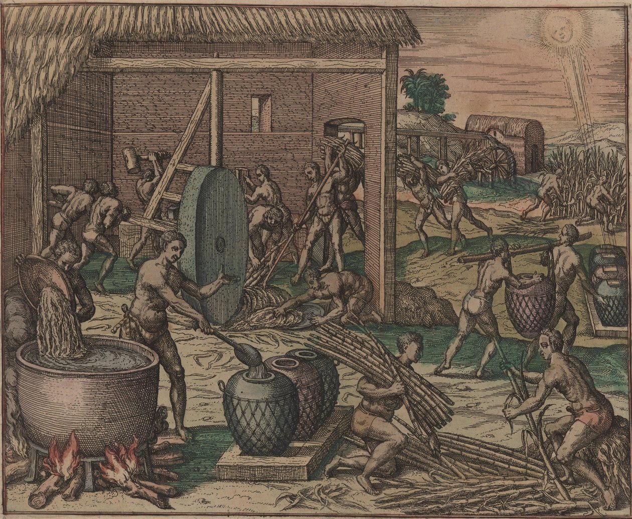 Os escravos processam cana-de-açúcar e produzem açúcar, 1595. de Theodore de Bry