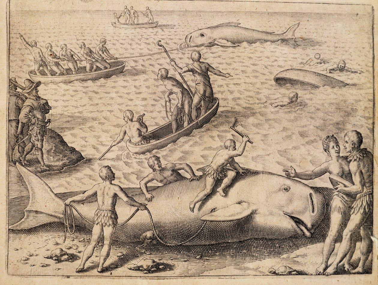 Baleeira perto de Spitsbergen, gravura de Theodor de Bry (1528-1598) da Índia Orientalis (Índia Oriental) de Theodore de Bry