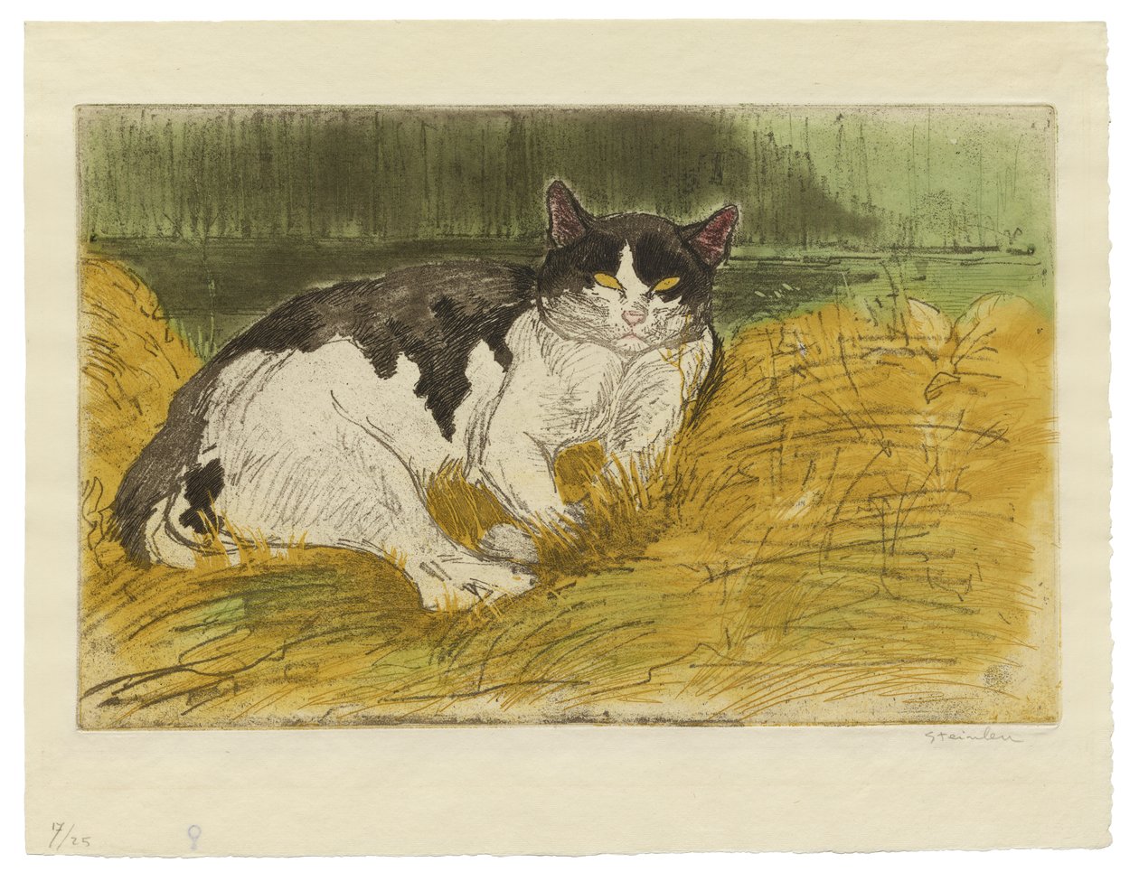 Gato velho preto e branco na grama de Théophile Alexandre Steinlen