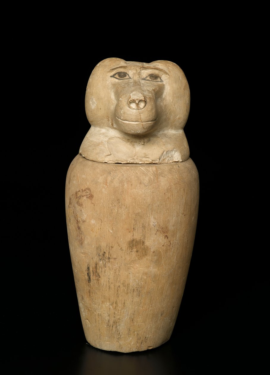 Jarra canopica (calcário) de Third Intermediate Period Egyptian