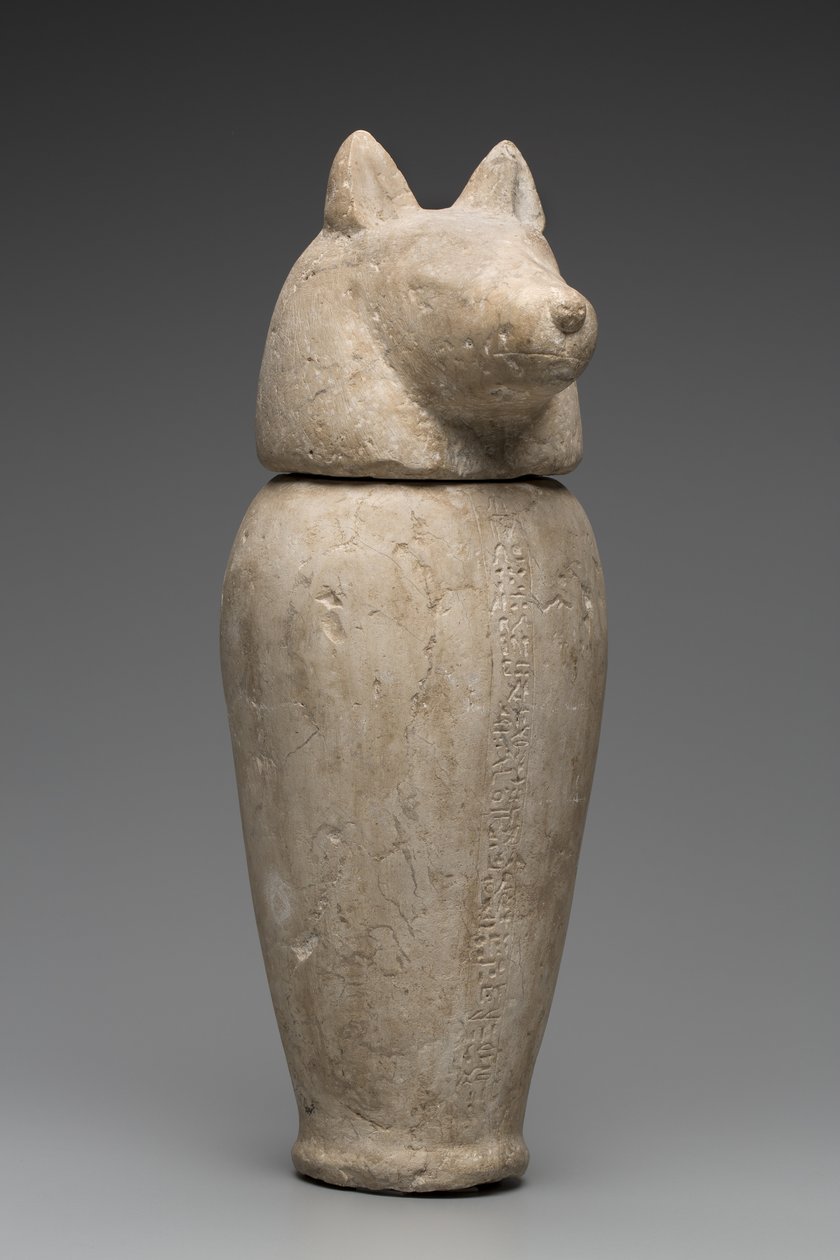Frasco Canópico com Cabeça de Chacal (calcário) de Third Intermediate Period Egyptian
