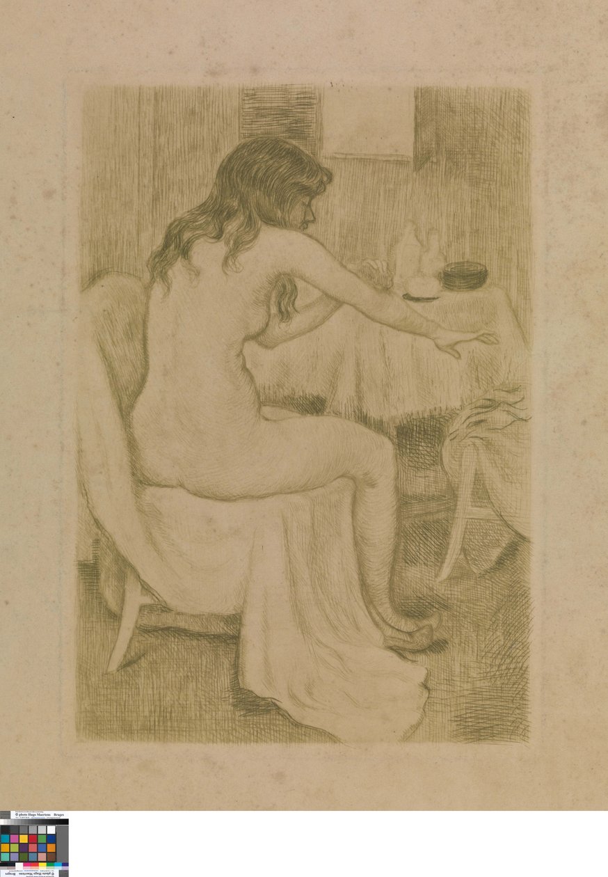Fazer a sua casa de banho de Théo van Rysselberghe