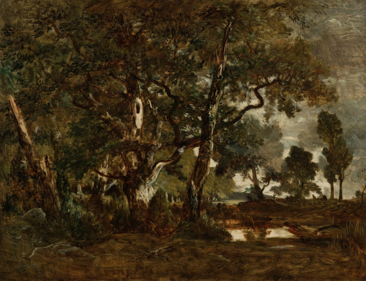 Floresta de Fontainebleau, aglomerado de árvores altas com vista para a planície de Clair-Bois na ... de Pierre Etienne Theodore Rousseau