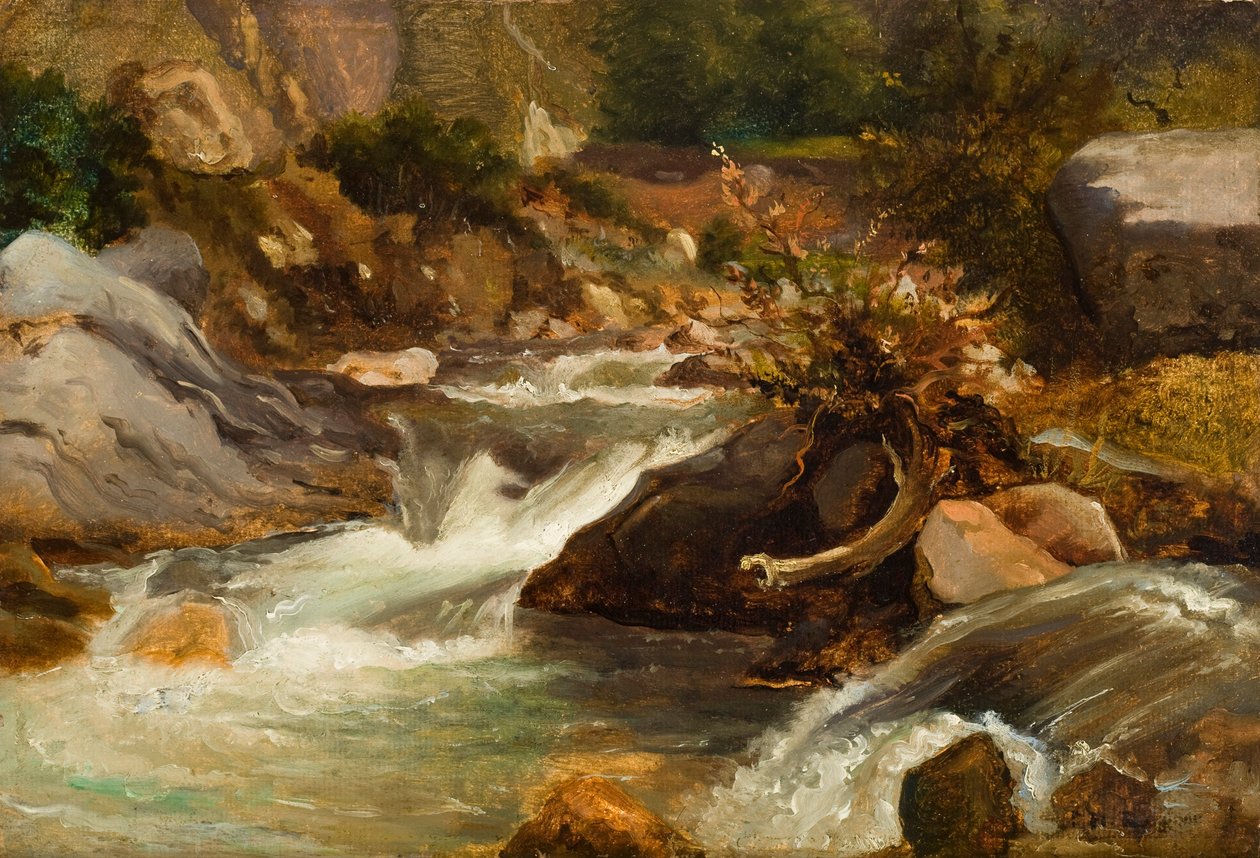 Estudo da Paisagem (La Source) c.1830 (óleo sobre papel montado no painel) de Pierre Etienne Theodore Rousseau